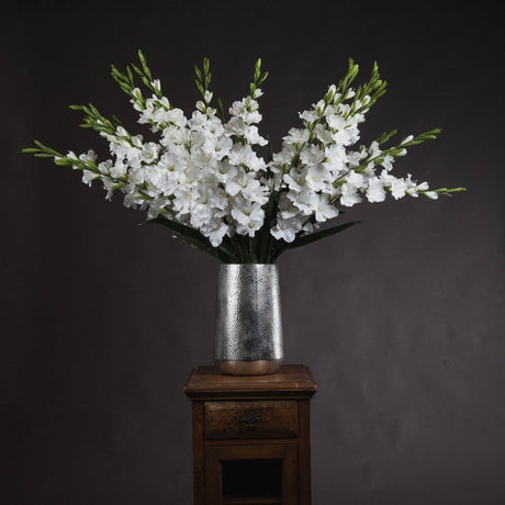 White Gladioli Luxury Home Decor Garden & Outdoor And Gifts