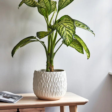 White Leaf Embossed Indoor Pot Planter Luxury Home Decor Garden & Outdoor And Gifts